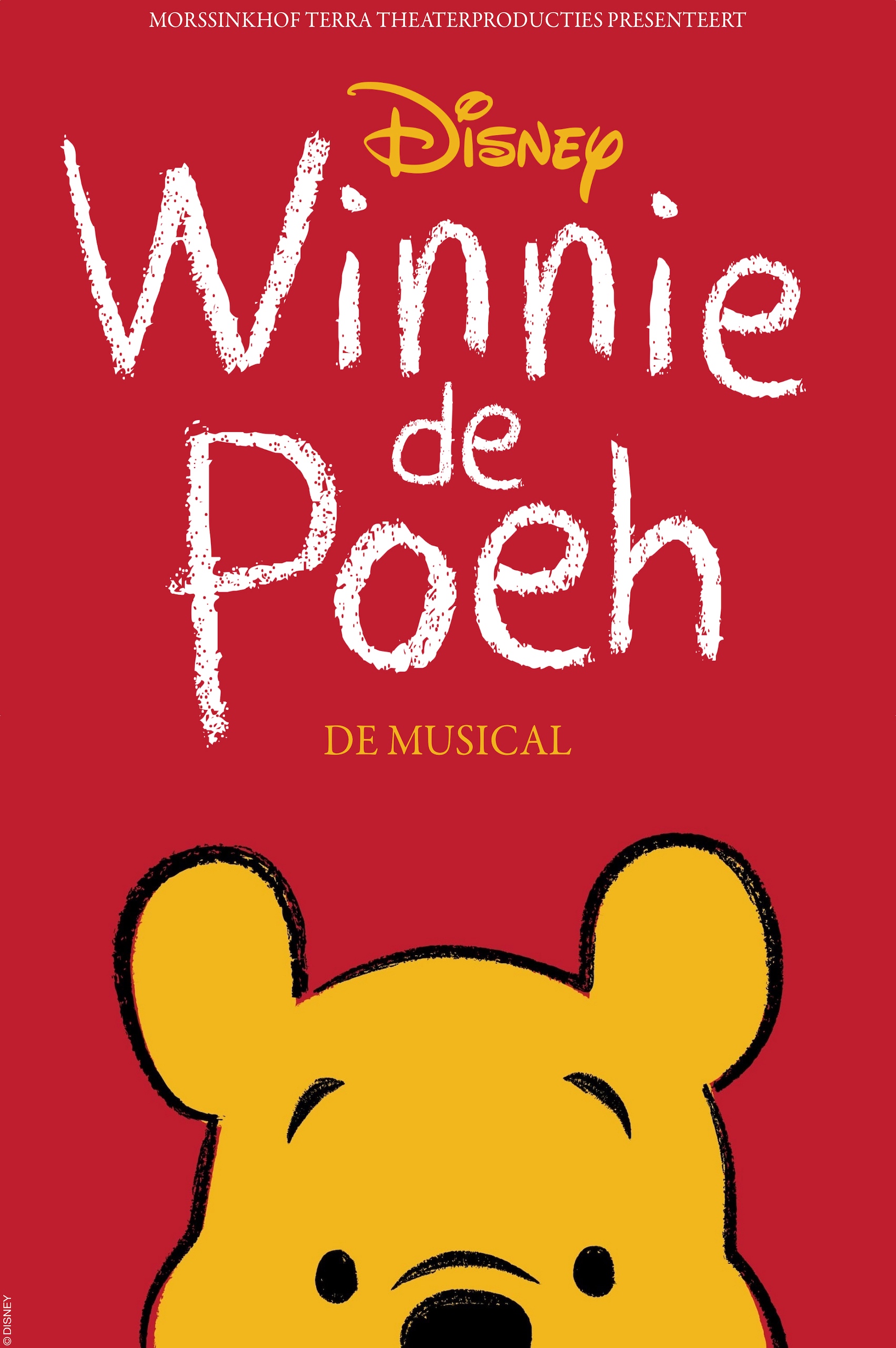 Disney Winnie de Poeh de Musical